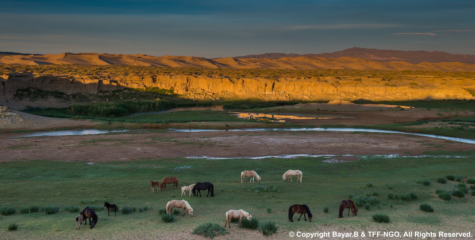 Yak herders at high altitude