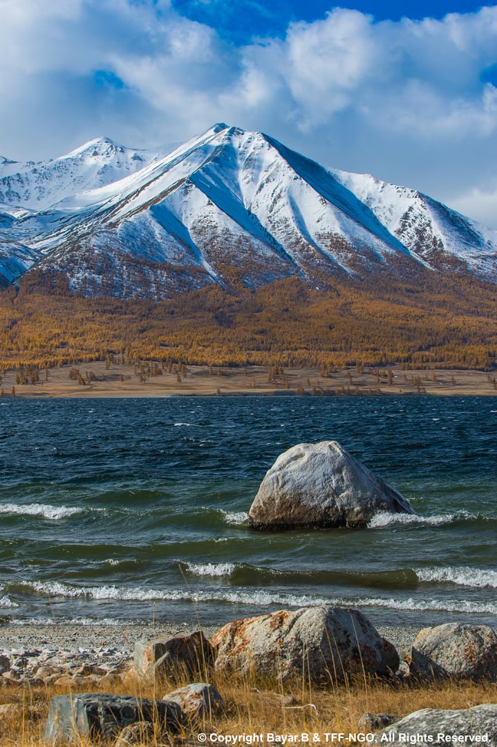 Frozen lake reflections